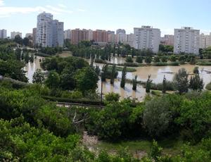 Parque La Marjal