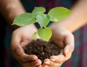 Congreso Nacional de Medio Ambiente en IFEMA (Madrid)