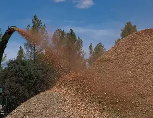 Hero Banner Noticia Veolia Biomasa Prevención Incendios
