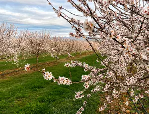 Transformación de cultivo en Huesca