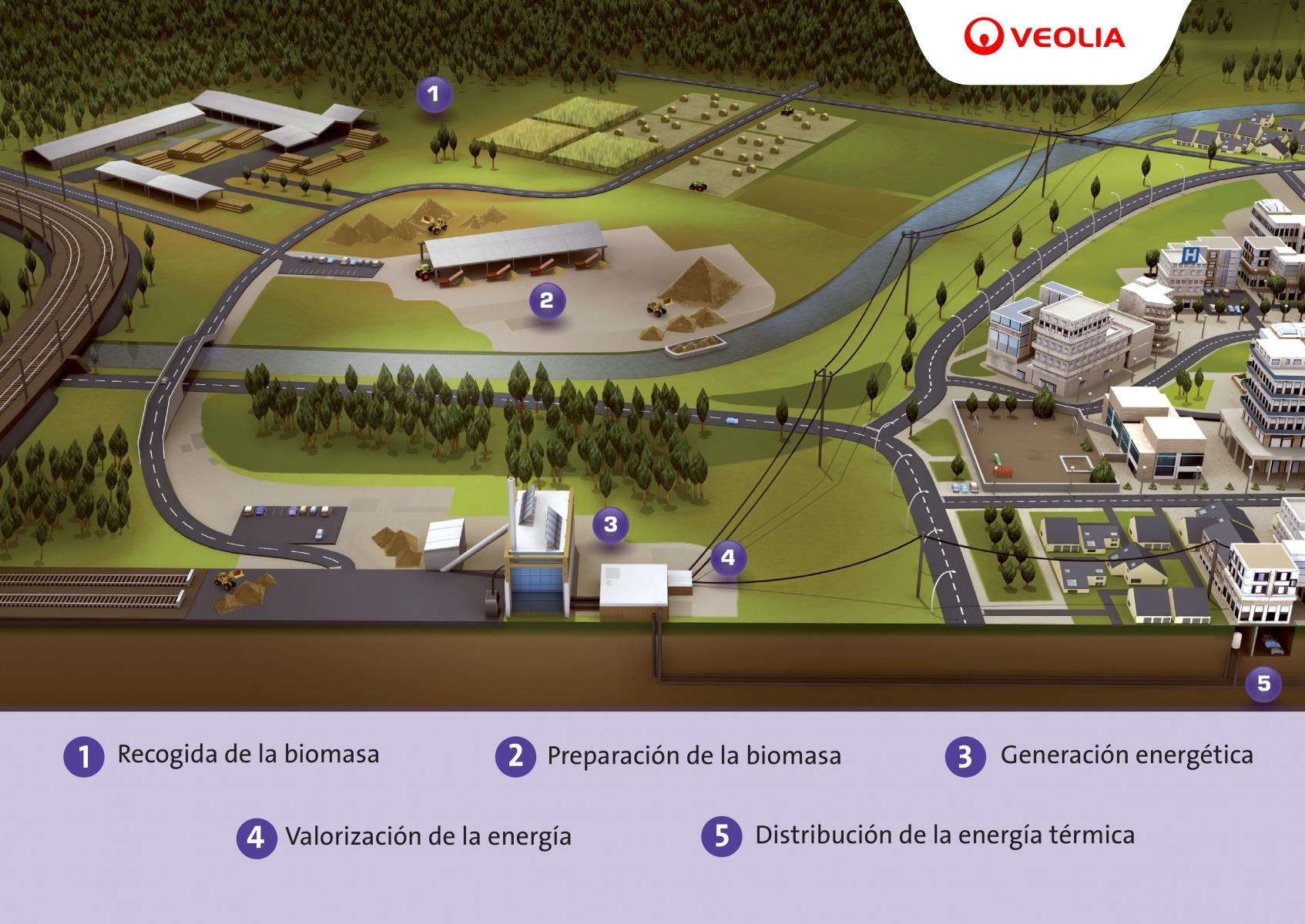 Infografia biomasa
