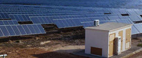 Planta de Jumilla