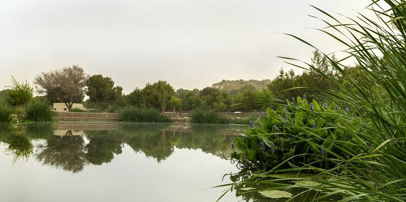 Parque El Recorral