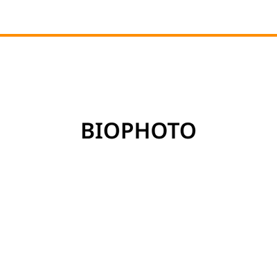 BIOPHOTO Logo