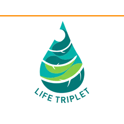 LIFETRIPLET Logo