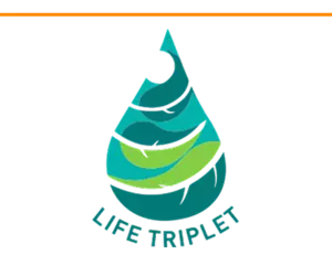 LIFETRIPLET Logo