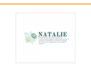 NATALIE Logo