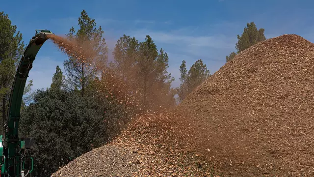 Hero Banner Noticia Veolia Biomasa Prevención Incendios